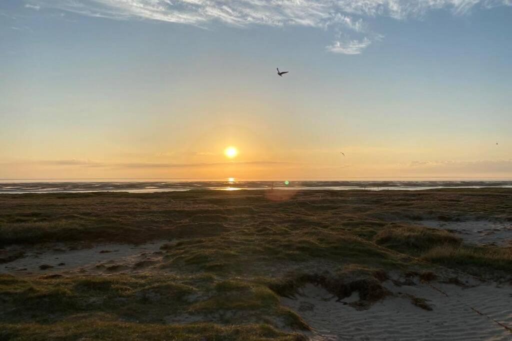 Apartmán Gammelt Mando Hus Hyggebo Ribe Exteriér fotografie